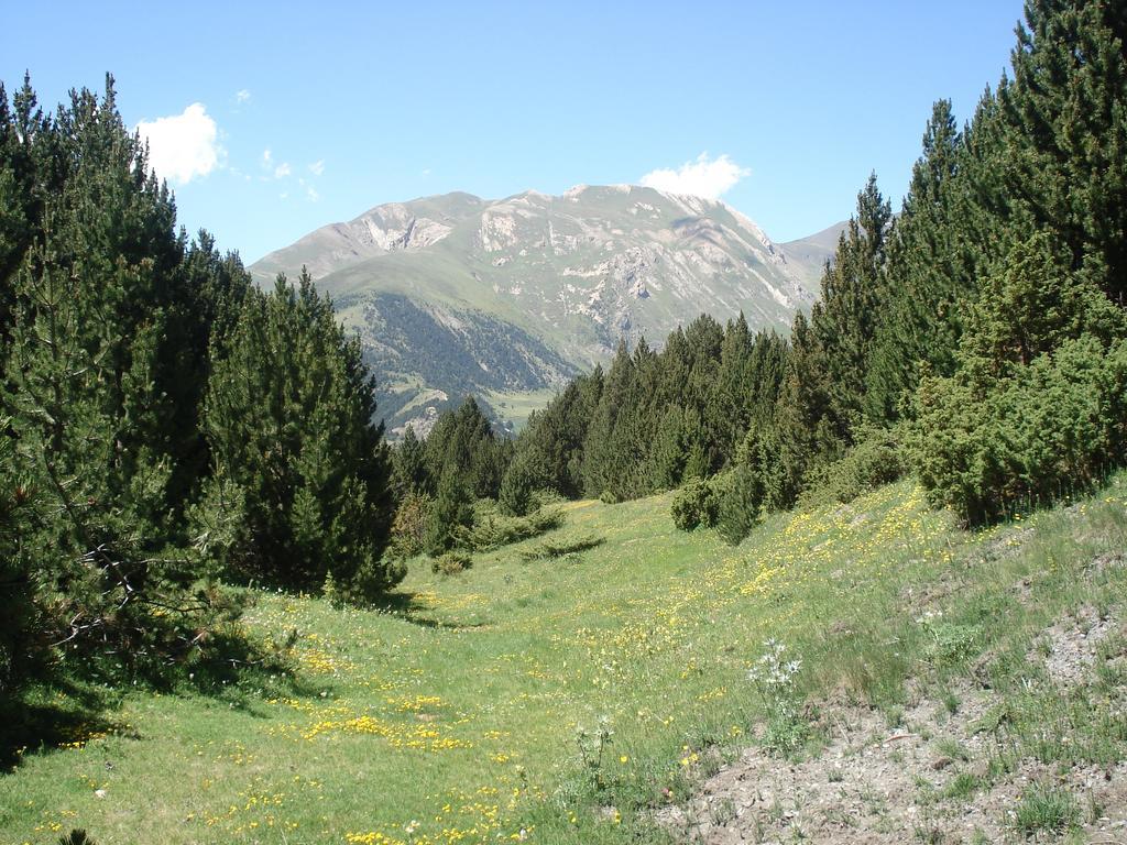 Xalet Les Avellanes - Hut 7335 Villa Аринсал Екстериор снимка